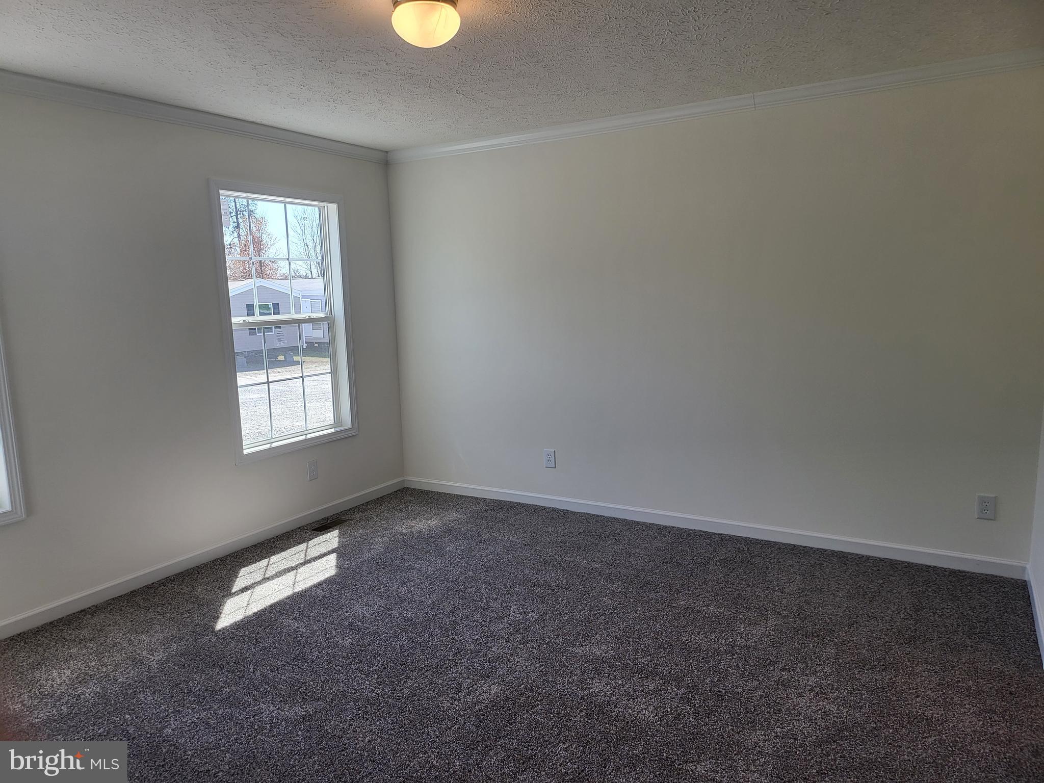 16282 Pleasant Mill Road Montpelier, VA 23192 - Photo 33 of 54 13x13 Main BR w/warm carpet easily fits King Bed