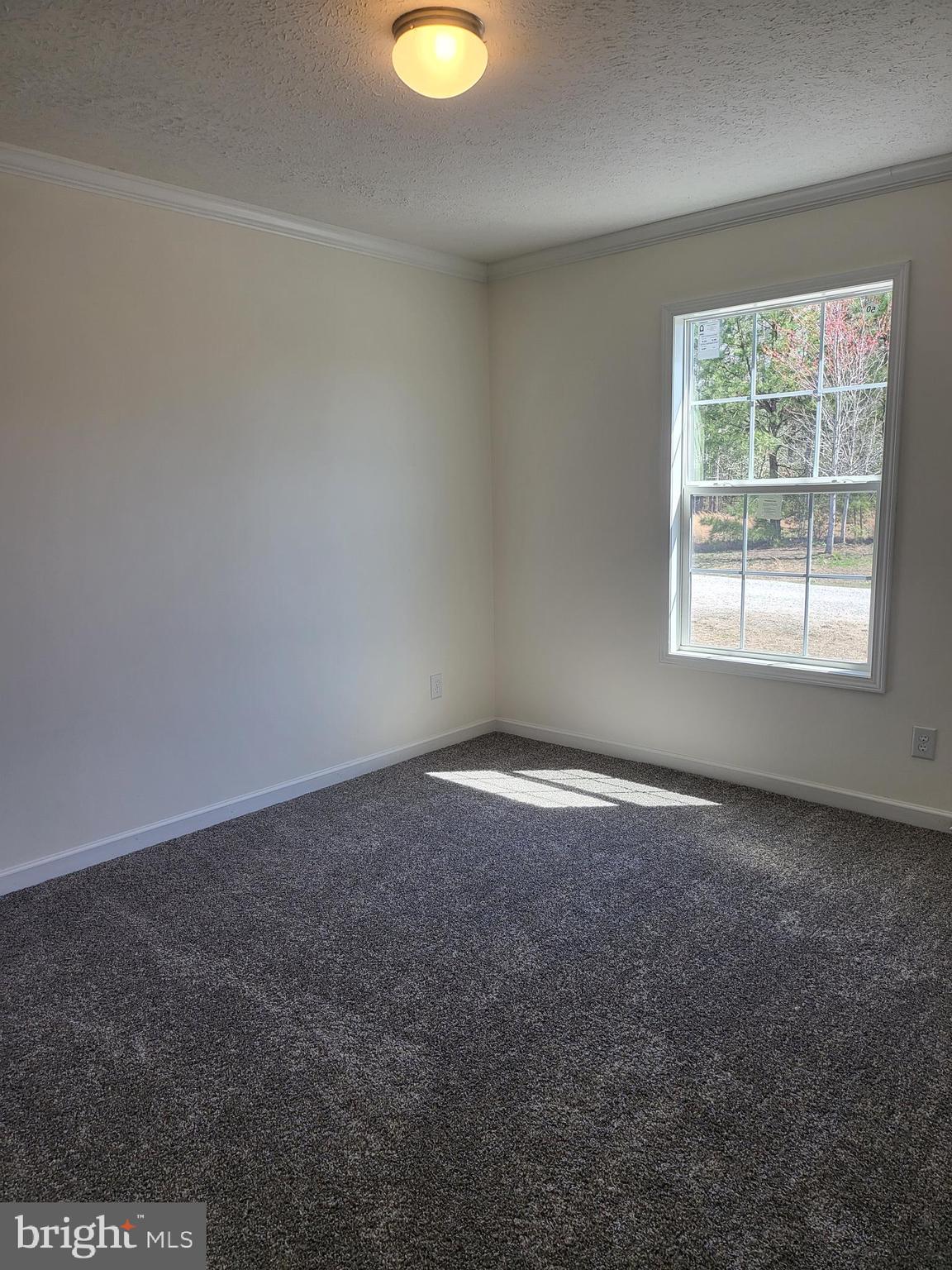 16282 Pleasant Mill Road Montpelier, VA 23192 - Photo 47 of 54 13x10 Br2 w/Cozy carpet,spacious closet,OH light