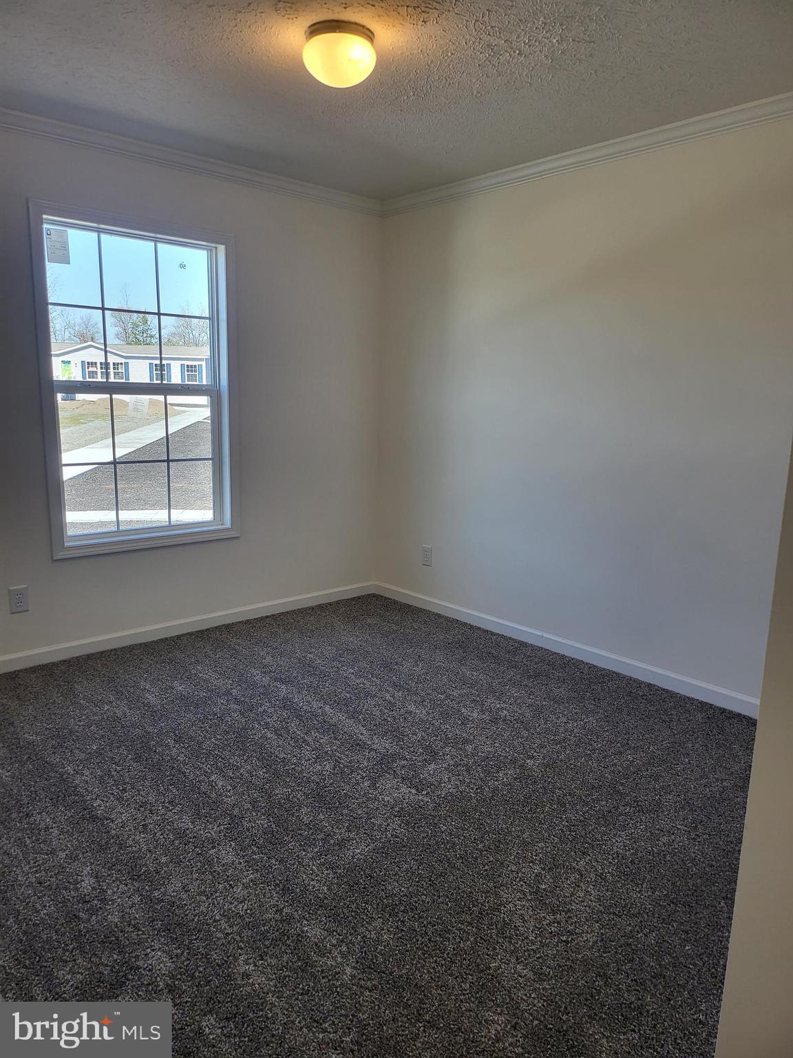 16282 Pleasant Mill Road Montpelier, VA 23192 - Photo 48 of 54 13x10 Br3 w/Cozy carpet,spacious closet,OH light