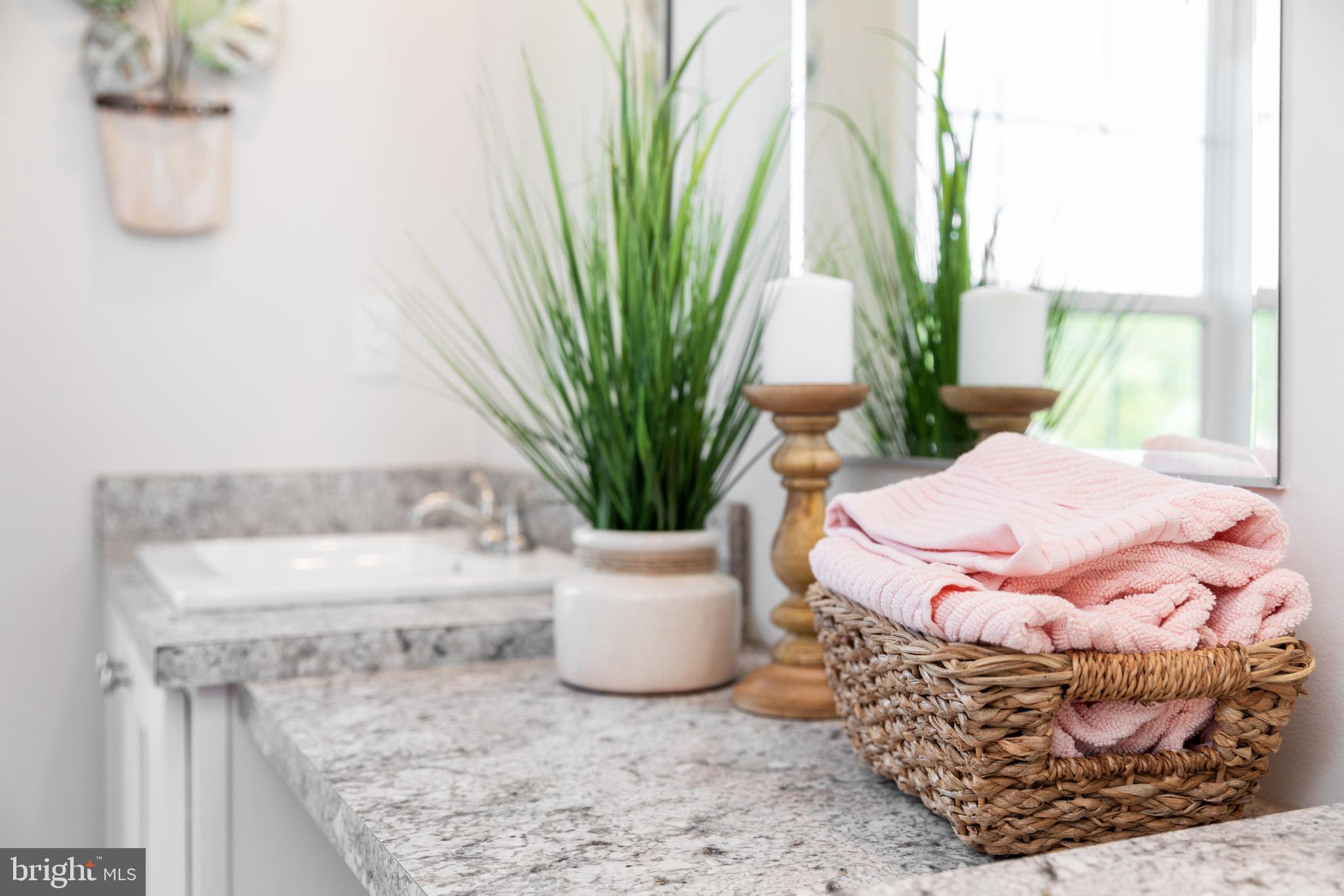 16282 Pleasant Mill Road Montpelier, VA 23192 - Photo 51 of 54