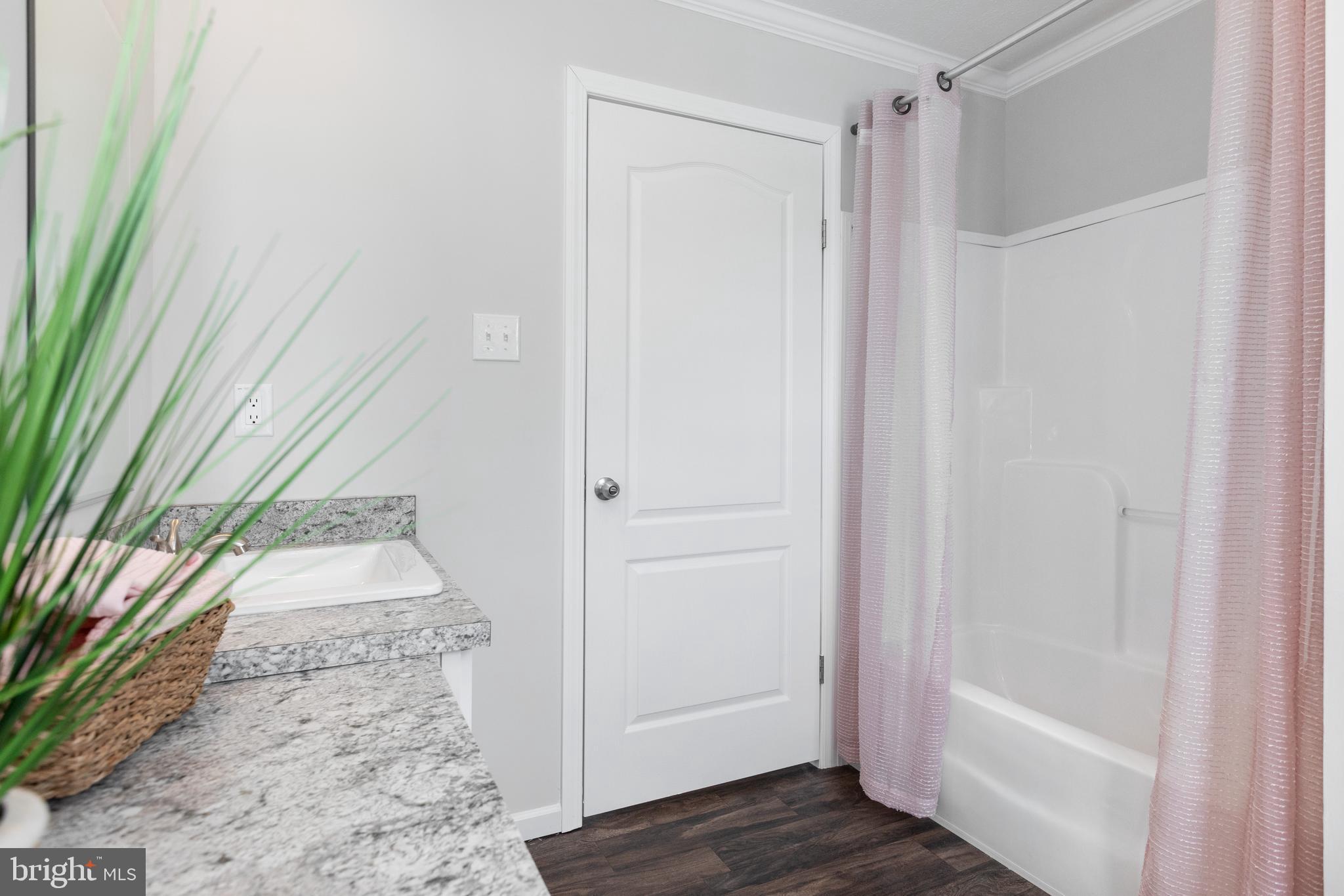 16282 Pleasant Mill Road Montpelier, VA 23192 - Photo 53 of 54 Tub show for Bath time!