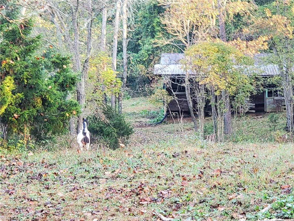 1065 Harris Farm Road King, NC 27021 - Photo 31 of 41