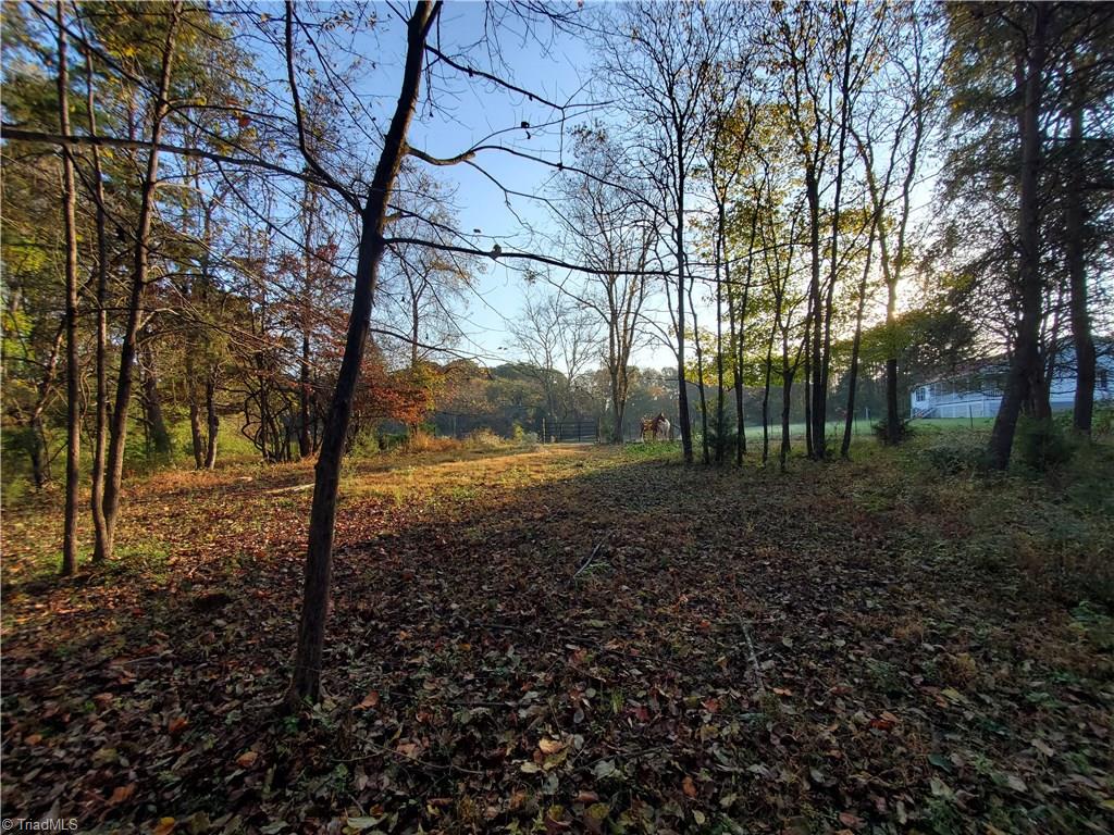 1065 Harris Farm Road King, NC 27021 - Photo 36 of 41