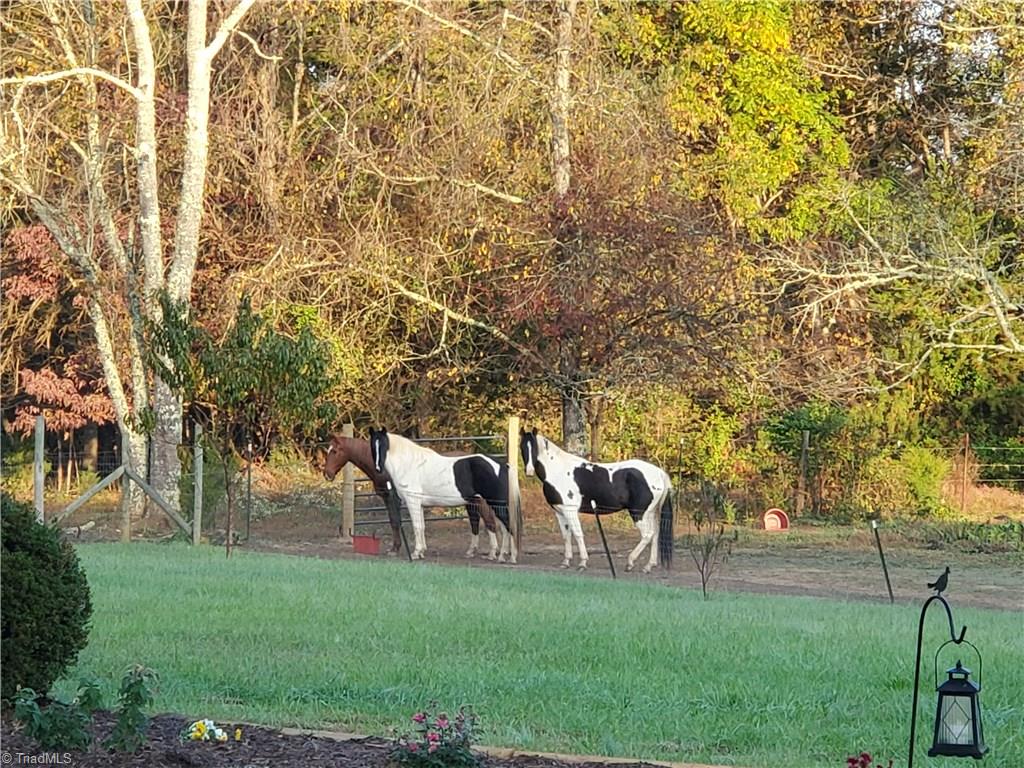 1065 Harris Farm Road King, NC 27021 - Photo 37 of 41