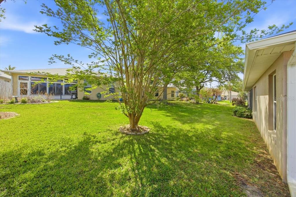 4913 Rainbow Trout Road Tavares, FL 32778 - Photo 25 of 43