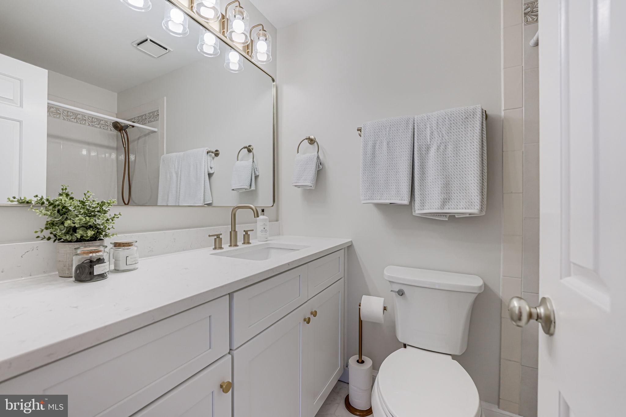 10800 Tradewind Drive Oakton, VA 22124 - Photo 45 of 77 a bathroom with a sink a toilet and mirror