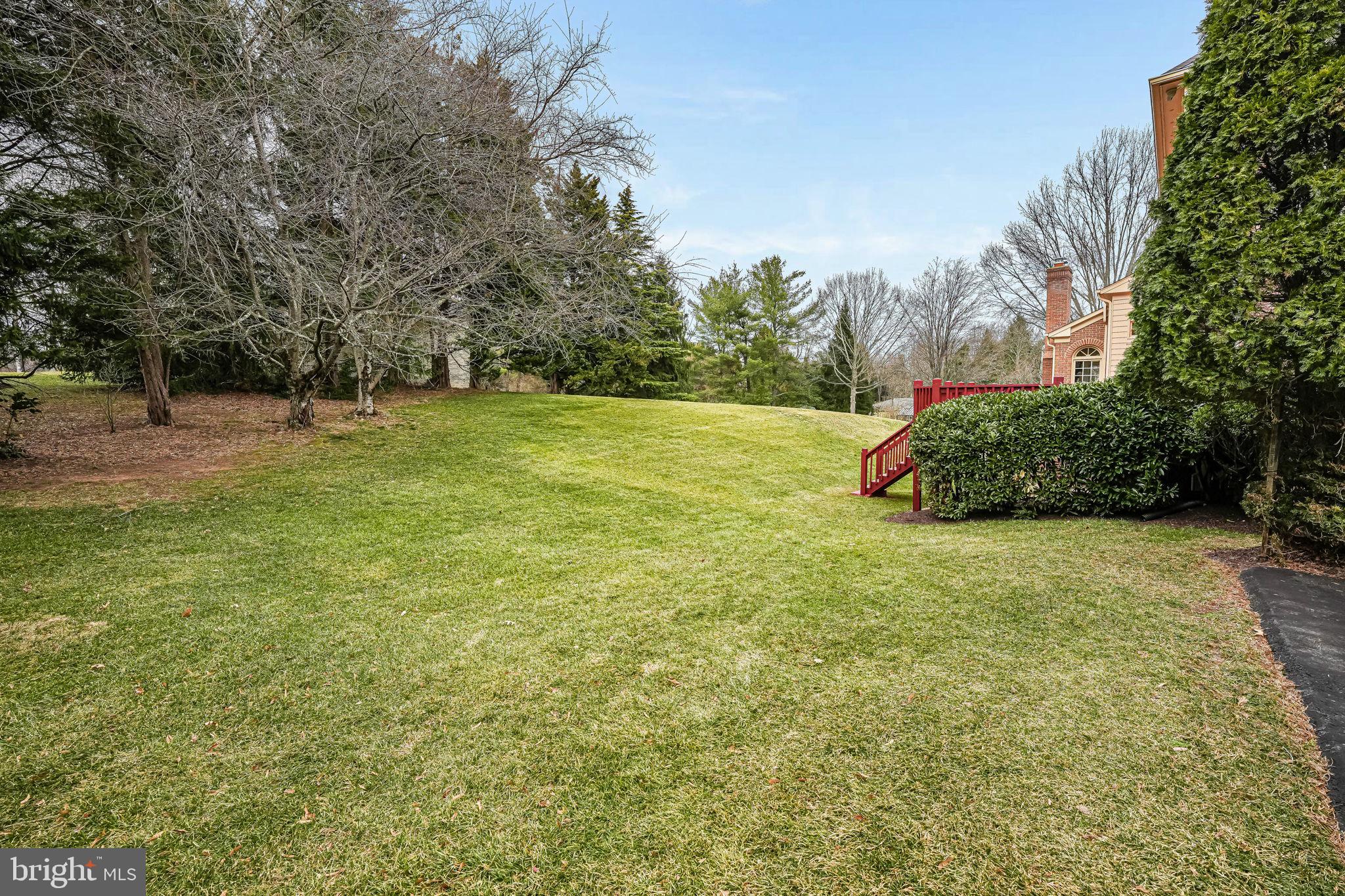 10800 Tradewind Drive Oakton, VA 22124 - Photo 68 of 77 a view of a field with plants and trees