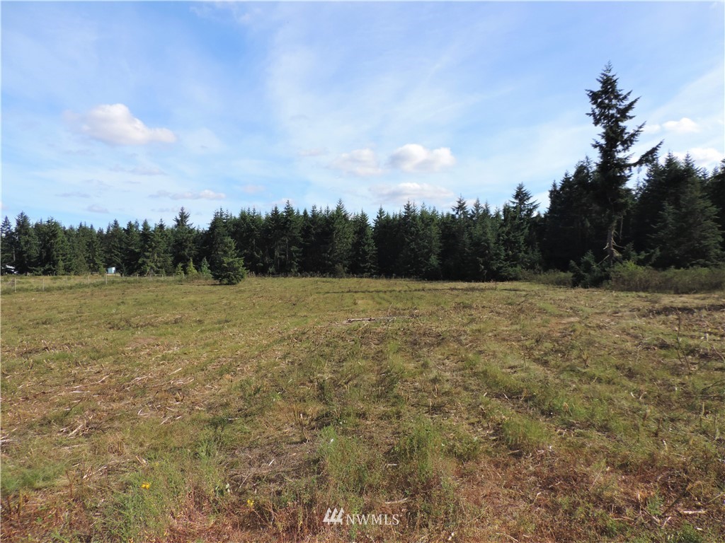 123 123rd Avenue Southeast Rainier, WA 98576 - Photo 11 of 23 Gallery Image 11