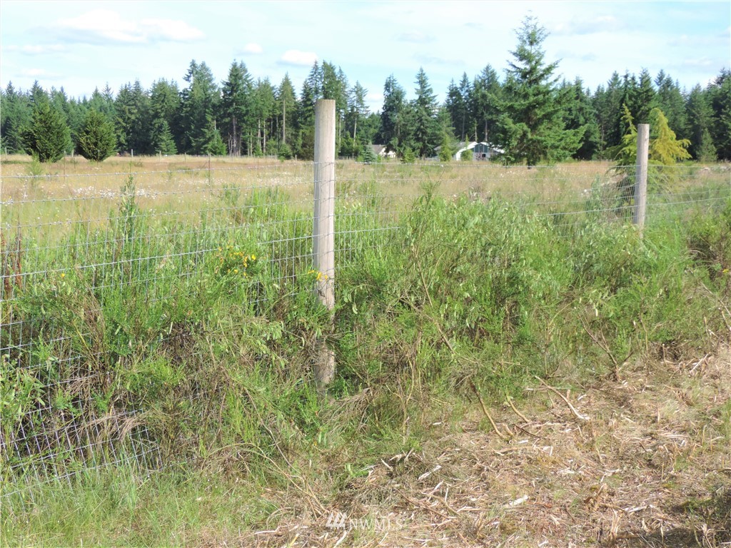 123 123rd Avenue Southeast Rainier, WA 98576 - Photo 14 of 23 Gallery Image 14