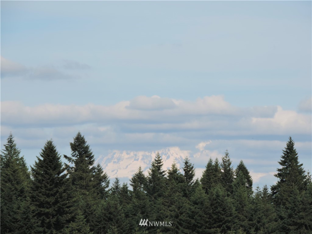 123 123rd Avenue Southeast Rainier, WA 98576 - Photo 19 of 23 Gallery Image 19