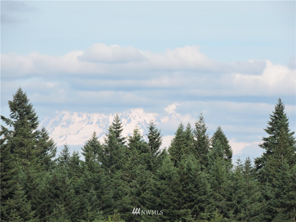 123 123rd Avenue Southeast Rainier, WA 98576 - Photo 20 of 23 Gallery Image 20