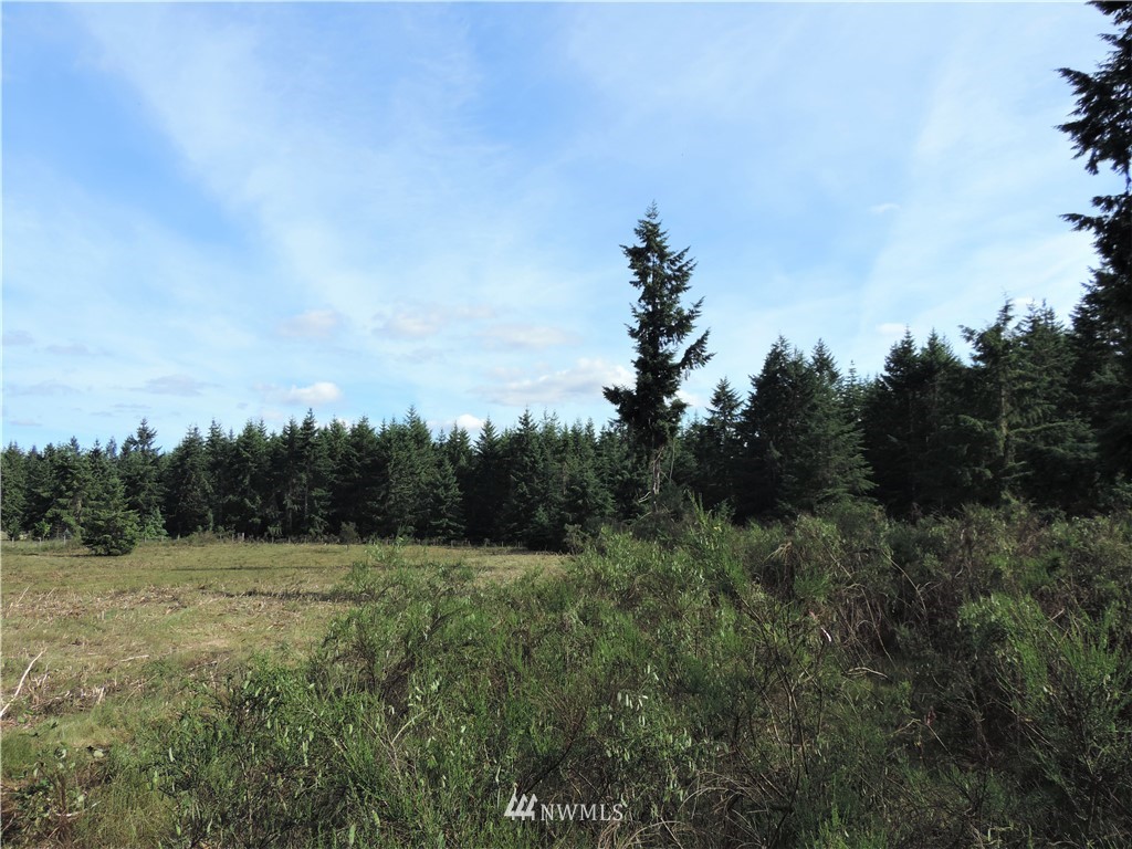 123 123rd Avenue Southeast Rainier, WA 98576 - Photo 21 of 23 Gallery Image 21