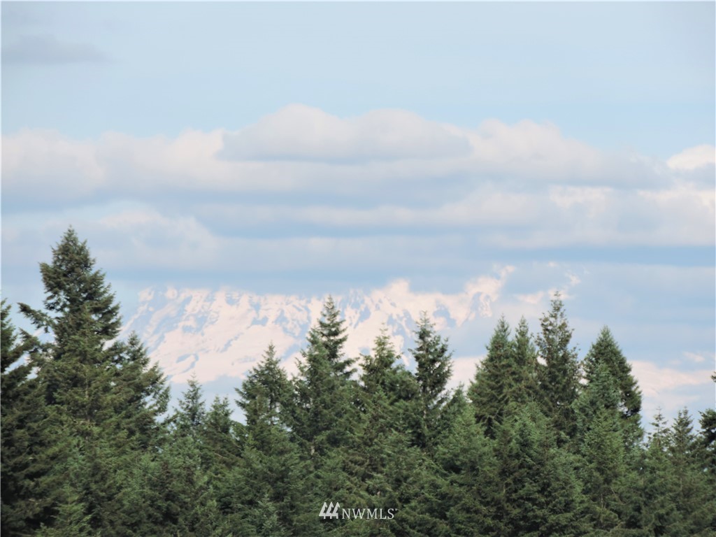 123 123rd Avenue Southeast Rainier, WA 98576 - Photo 22 of 23 Gallery Image 22