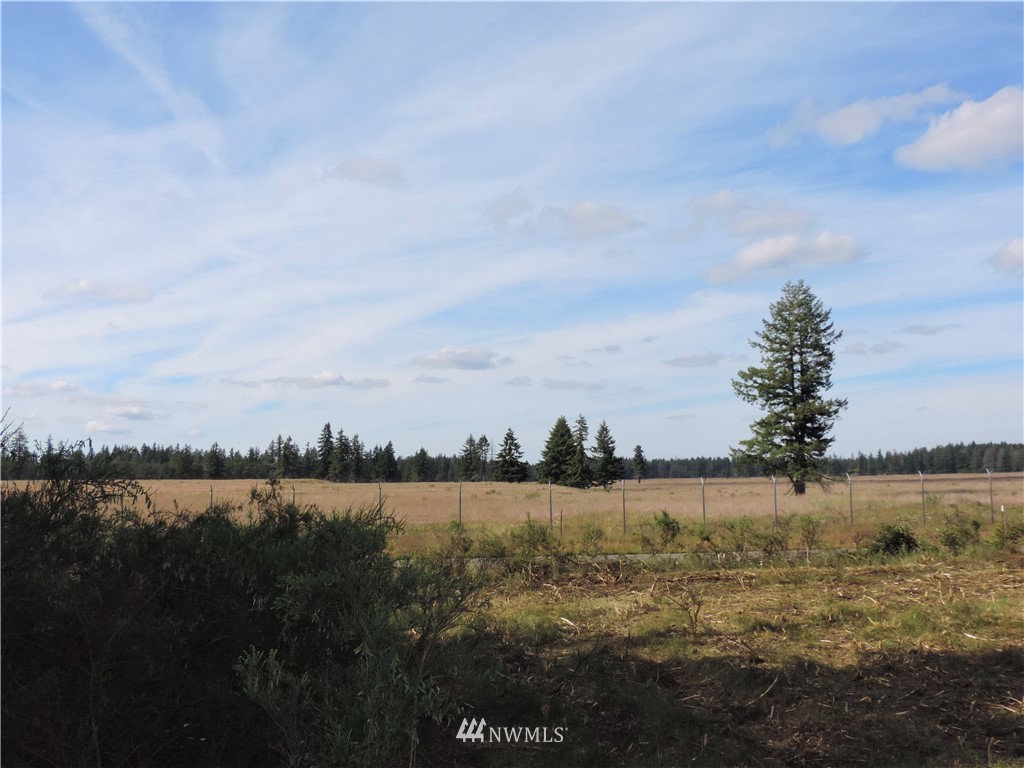 123 123rd Avenue Southeast Rainier, WA 98576 - Photo 23 of 23 Gallery Image 23