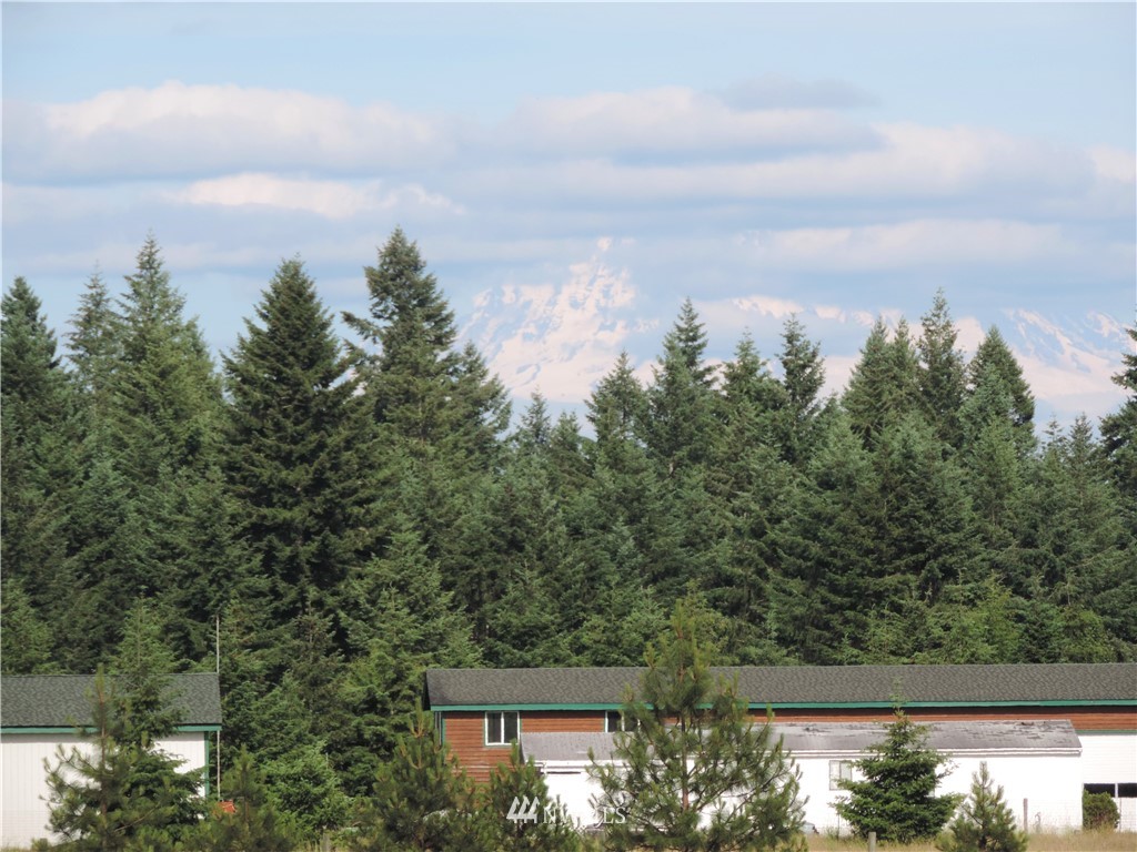 123 123rd Avenue Southeast Rainier, WA 98576 - Photo 8 of 23 Gallery Image 8
