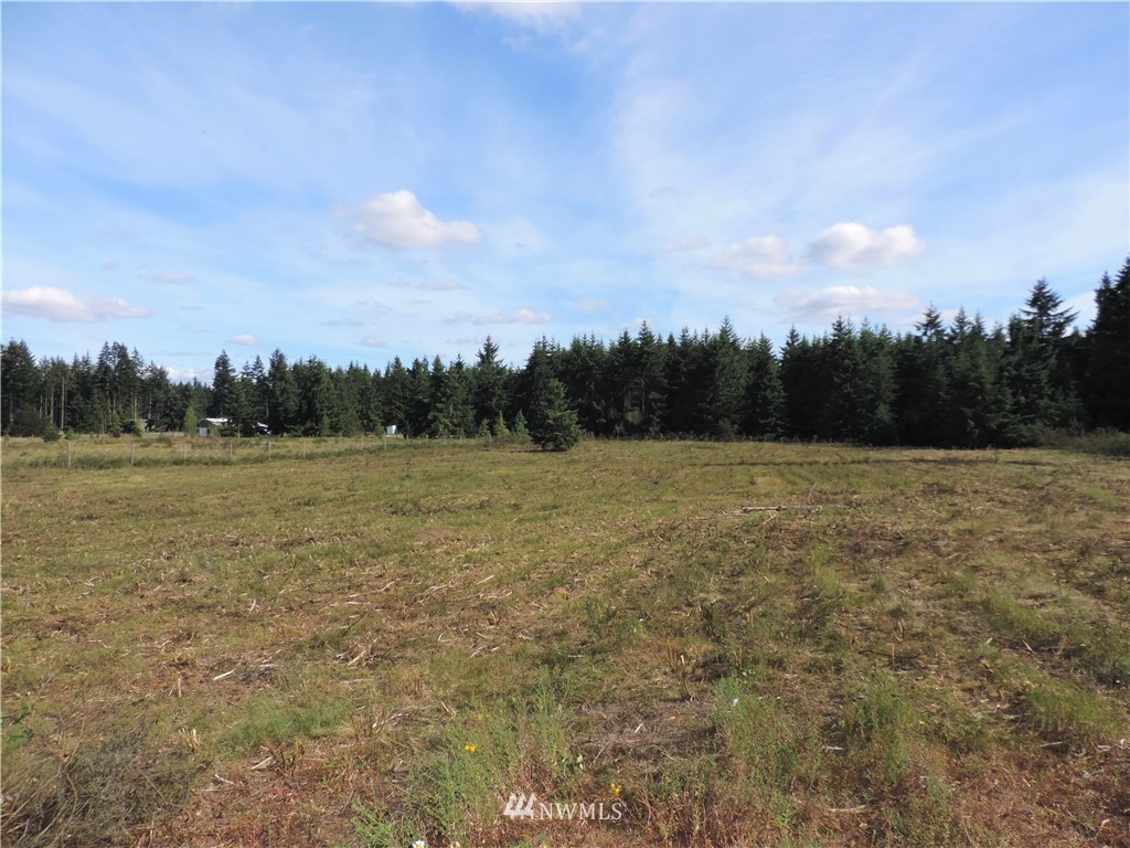 123 123rd Avenue Southeast Rainier, WA 98576 - Photo 10 of 23 Gallery Image 10