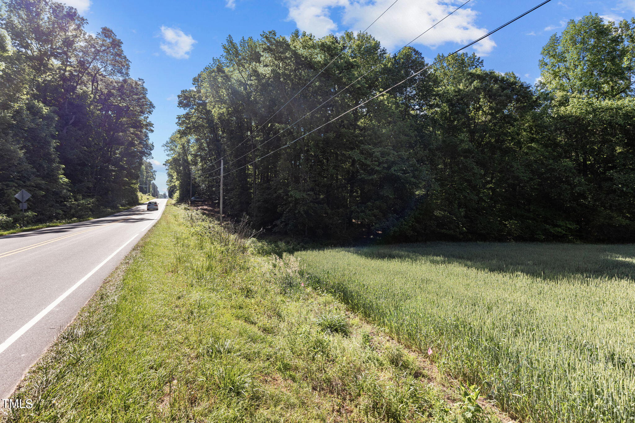 Lot 2 Helena Moriah Road Timberlake, NC 27583 - Photo 10 of 12 a view of yard with green space