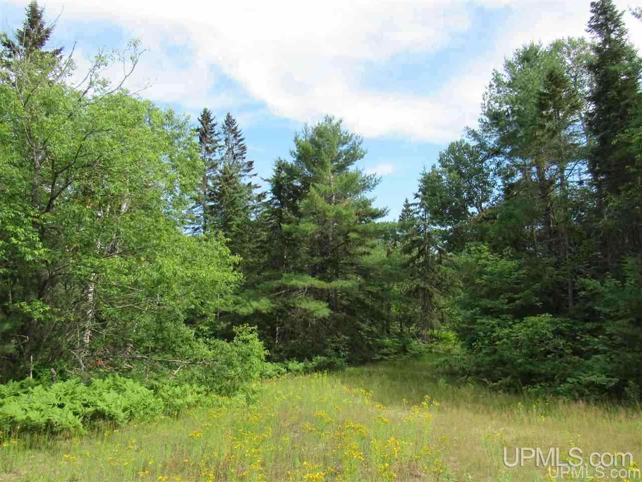 2804-acres Co Rd 442 McMillan, MI 49853 - Photo 32 of 48