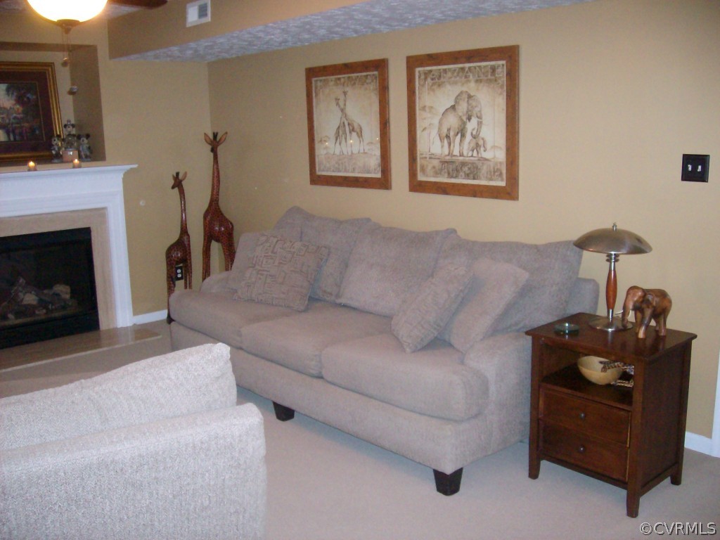 16720 Amherst Ridge Place Colonial Heights, VA 23834 - Photo 11 of 19