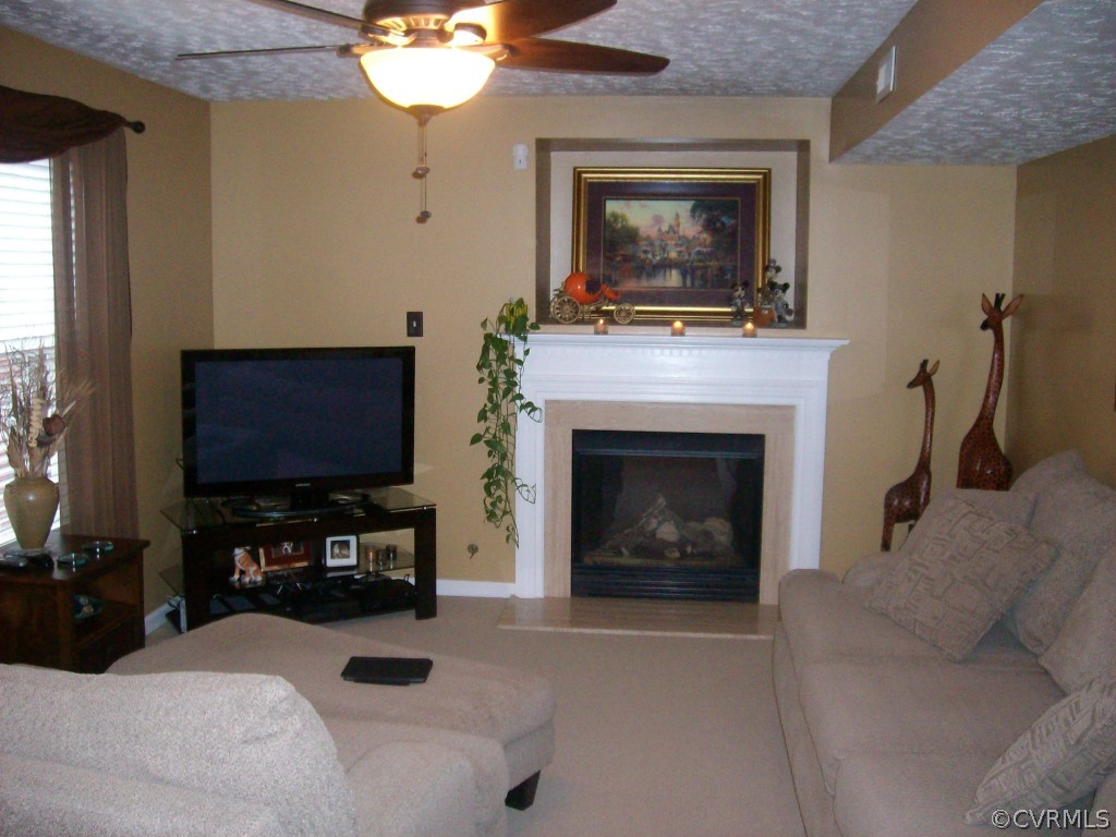 16720 Amherst Ridge Place Colonial Heights, VA 23834 - Photo 10 of 19
