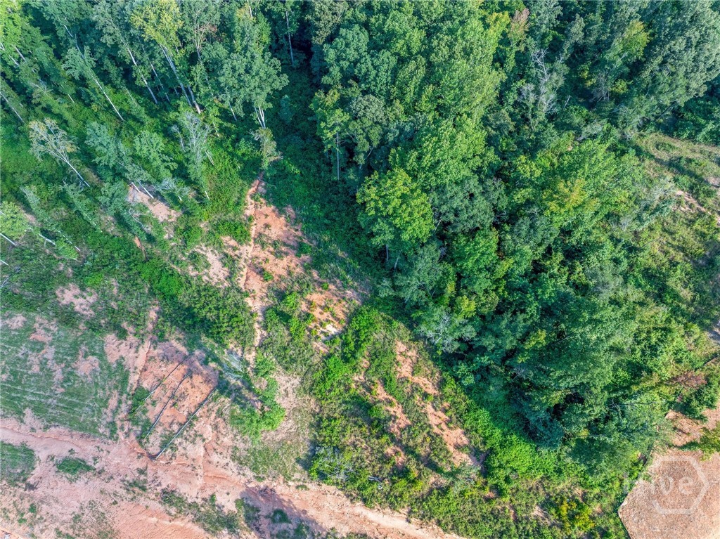Lot 5 Stewart Loop Jefferson, GA 30549 - Photo 26 of 35