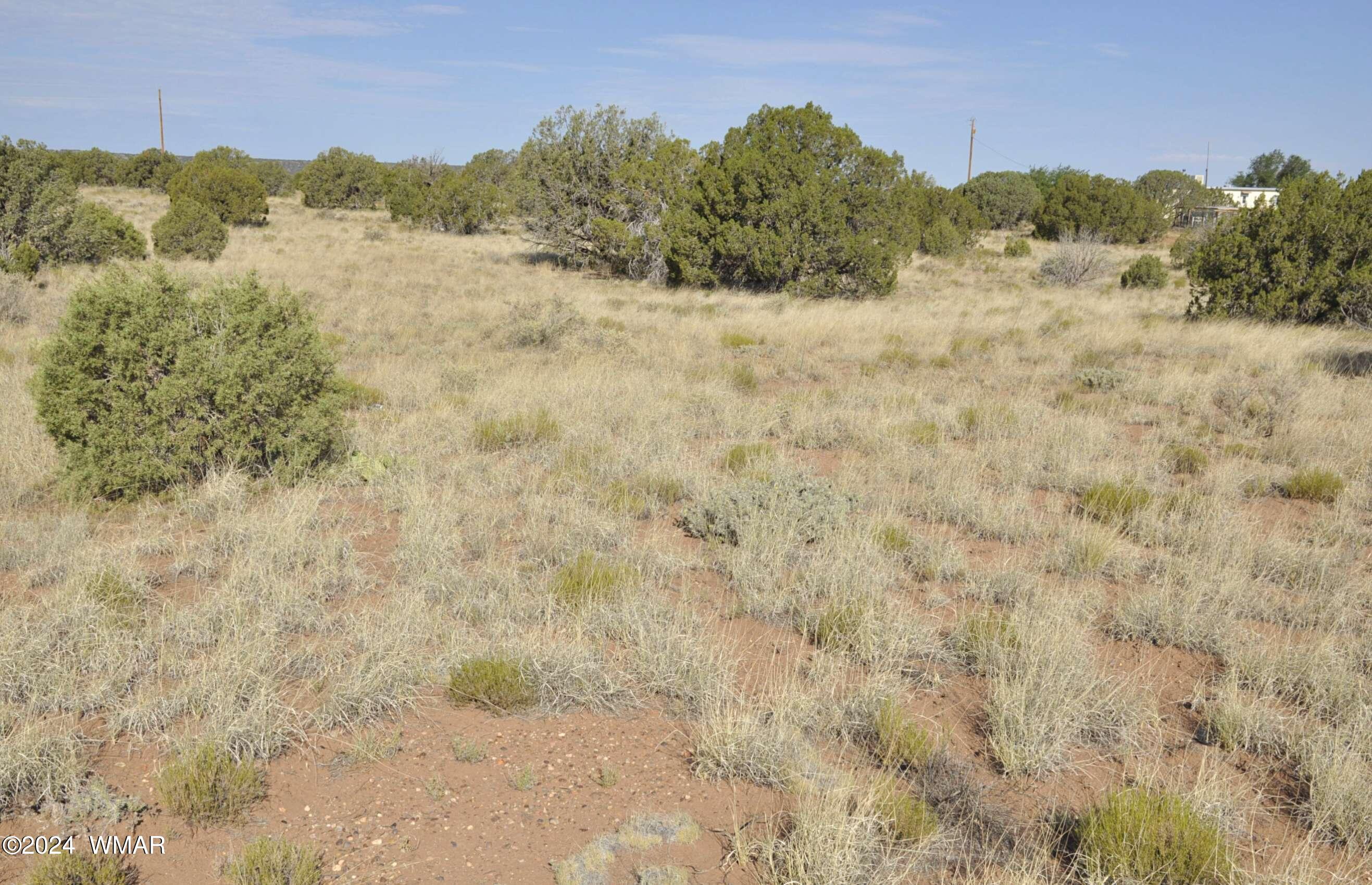 4500 Mountain View Road Snowflake, AZ 85937 - Photo 8 of 9 8