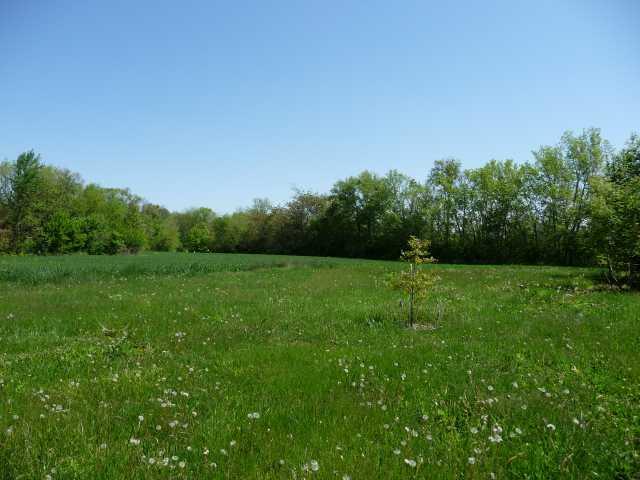 2187 East Eden Road Greenfield, IN 46140 - Photo 9 of 9