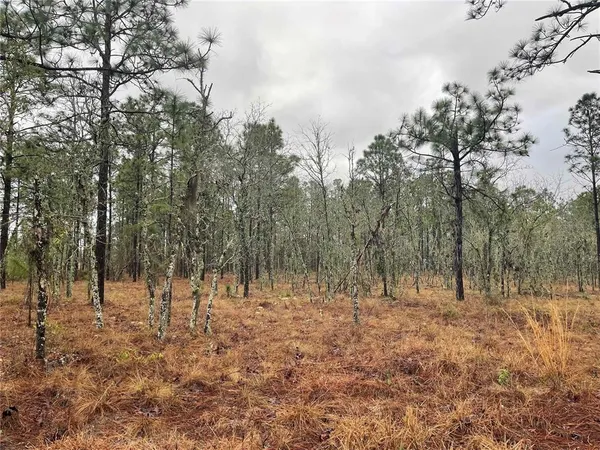 $135,000 | Tbd Southeast 71st Street, Morriston, FL 32668