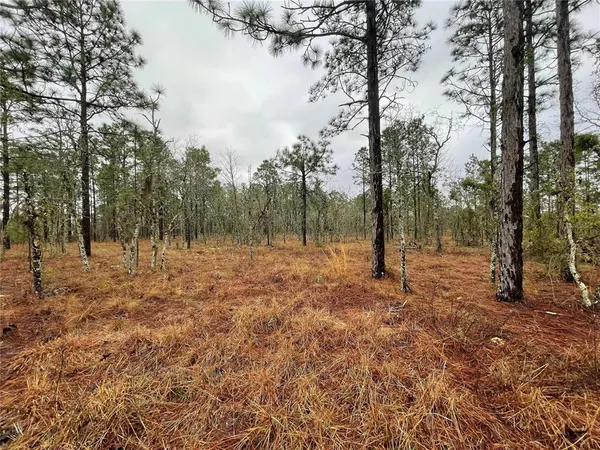 $135,000 | Tbd Southeast 71st Street, Morriston, FL 32668