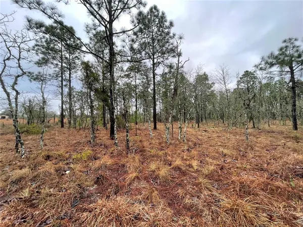 $135,000 | Tbd Southeast 71st Street, Morriston, FL 32668