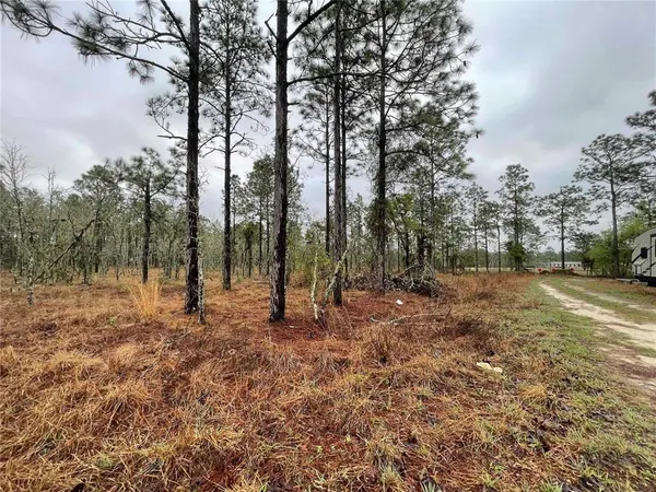 $135,000 | Tbd Southeast 71st Street, Morriston, FL 32668