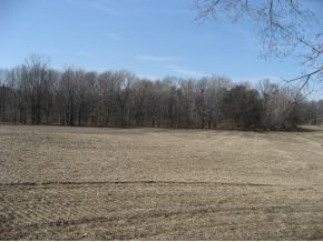 10181 Union Road Plymouth, IN 46563 - Photo 11 of 13 Gallery Image 11