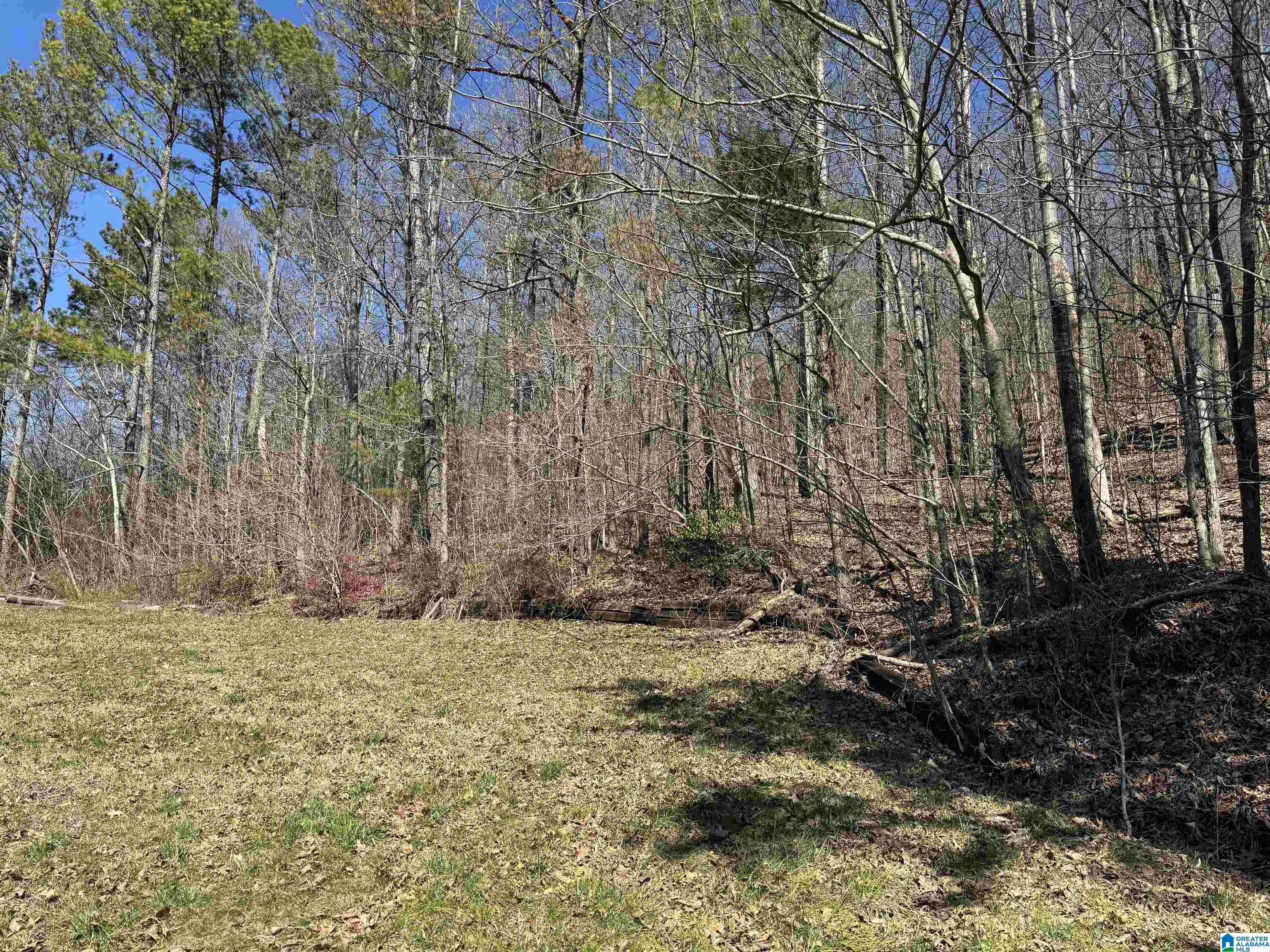 0 Rocky Hollow Road, Unit 3 00 Guntersville, AL 35976 - Photo 23 of 23