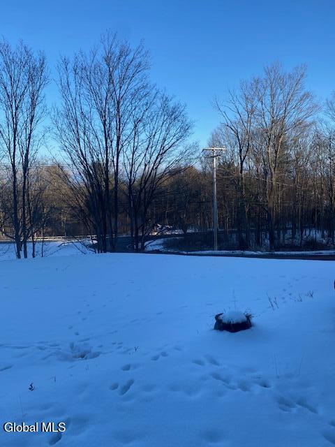 8 Indian Ledge Road Voorheesville, NY 12186 - Photo 11 of 12 IMG_6201