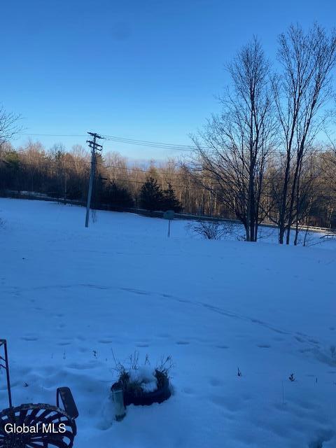 8 Indian Ledge Road Voorheesville, NY 12186 - Photo 10 of 12 IMG_6200