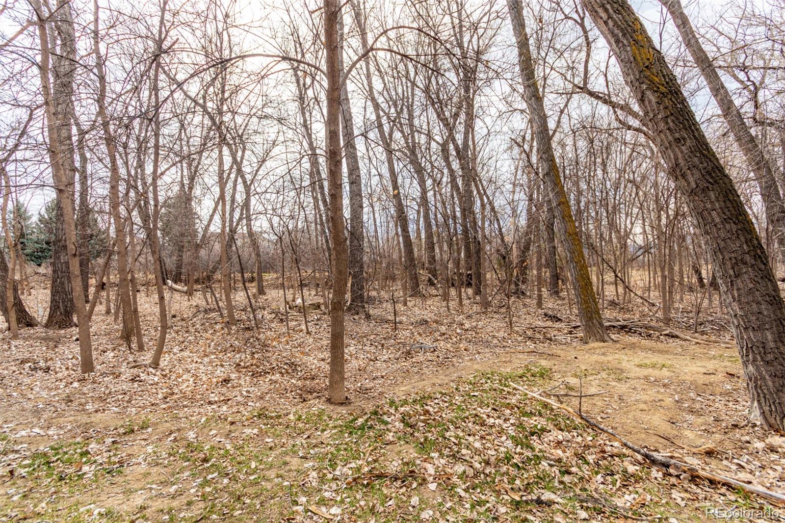 4808 Brandon Creek Drive Boulder, CO 80301 - Photo 31 of 31