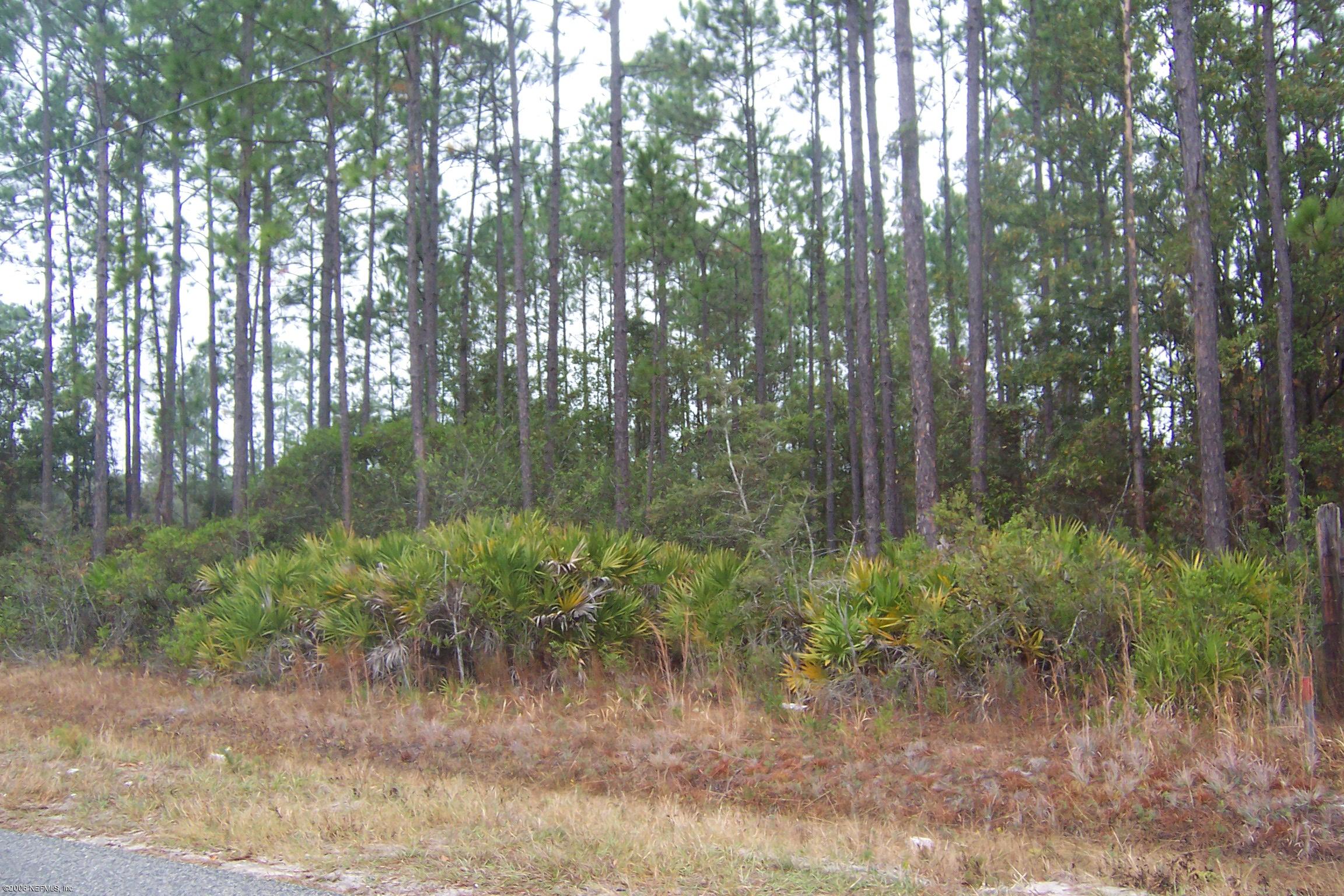 77 Ford Road Bryceville, FL 32009 - Photo 4 of 4 Ford Rd 4
