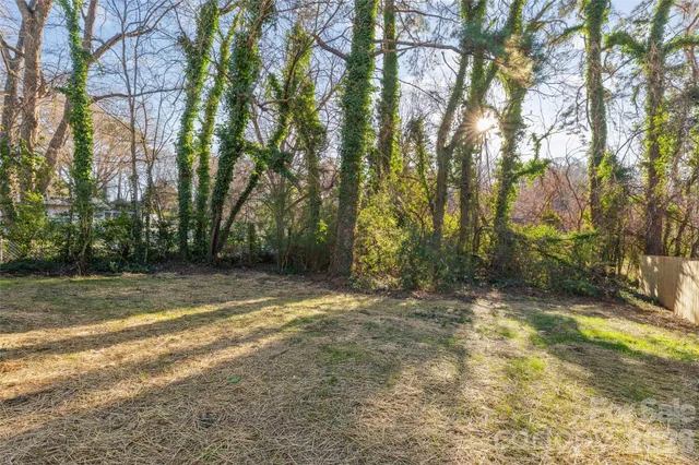 a view of a yard with trees