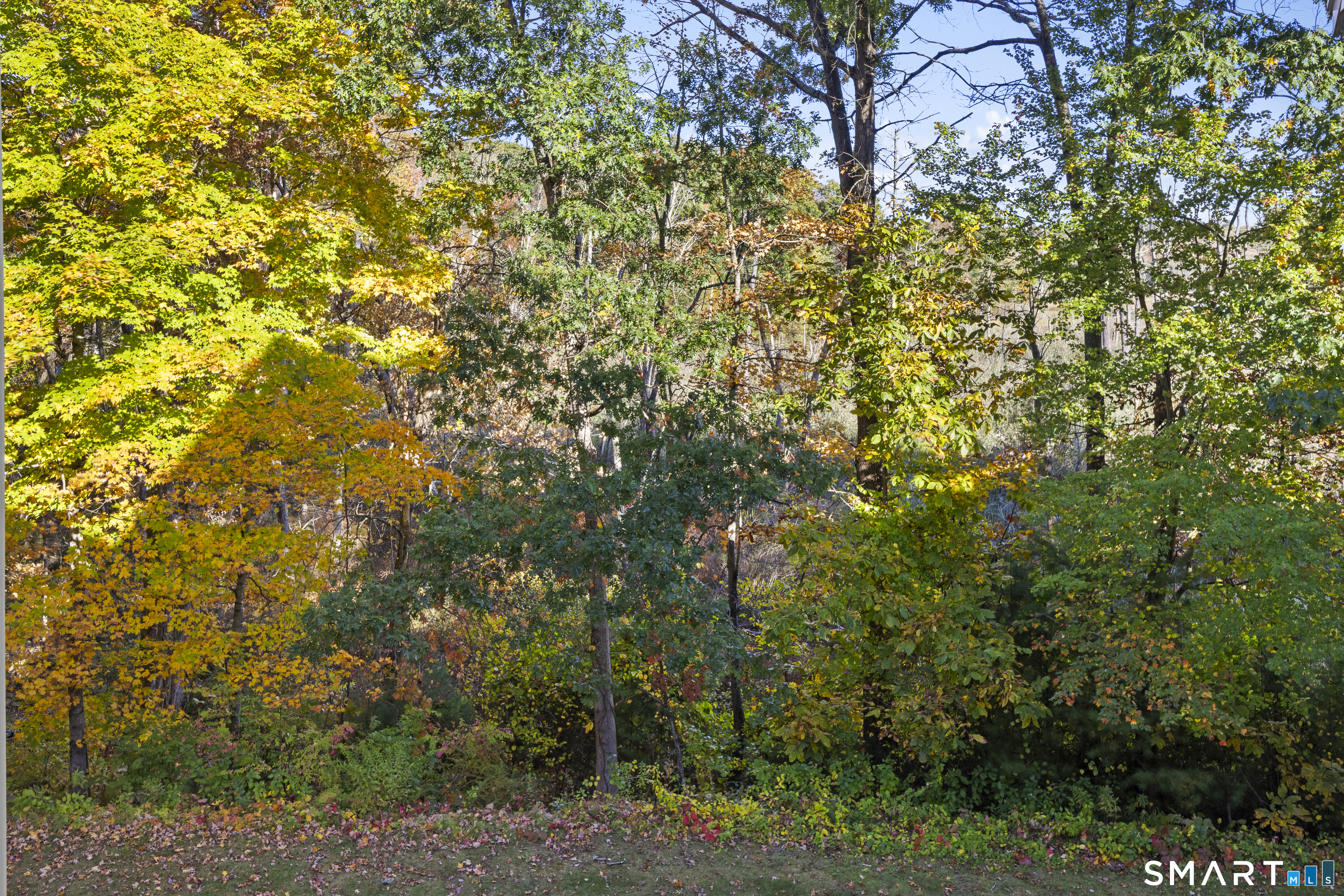 83 Perry Street, Unit 171 Putnam, CT 06260 - Photo 20 of 30 Gallery Image 20