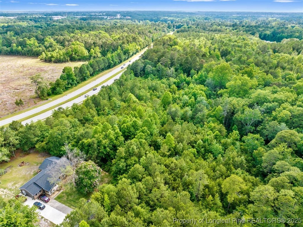 3165 George Owen Road Fayetteville, NC 28306 - Photo 5 of 17 a view of a lush green forest with a city view