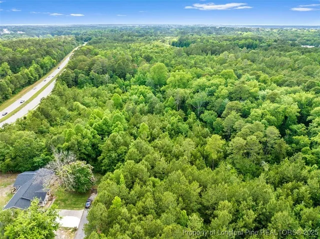 a view of a green field with lots of bushes