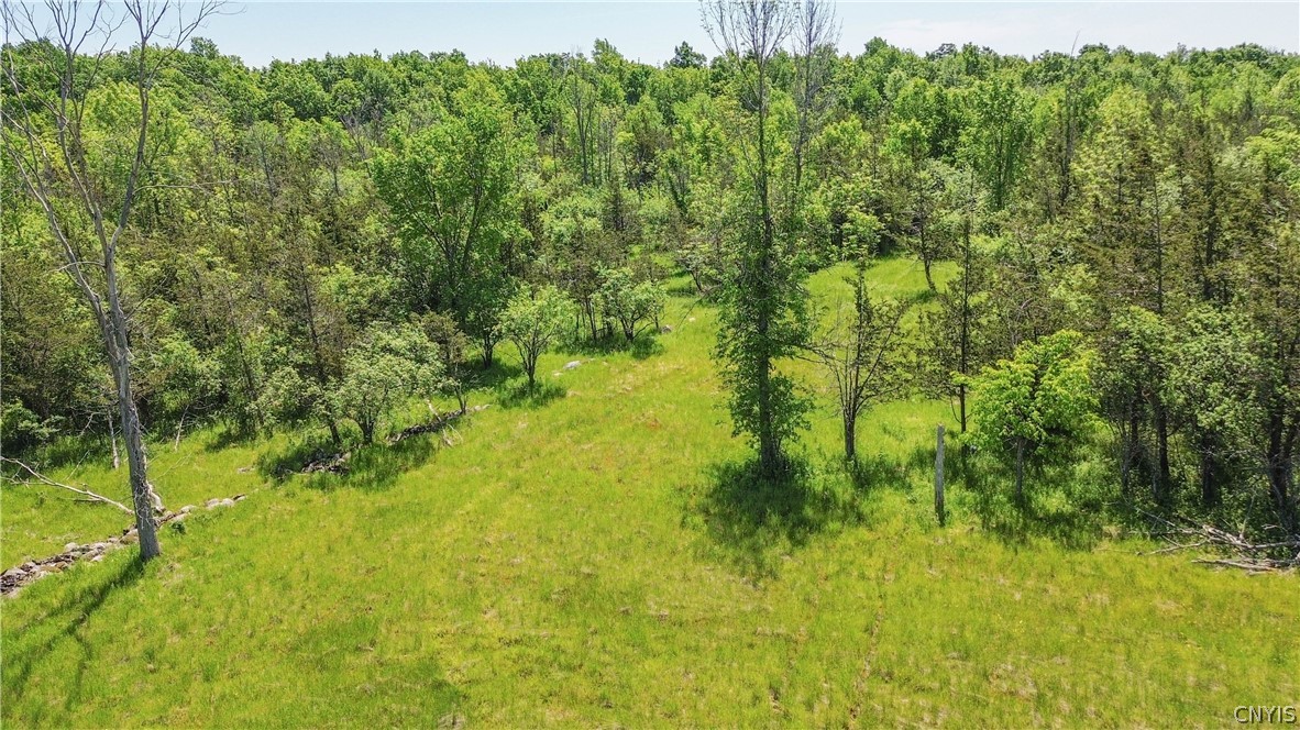 0 Middle Road Dexter, NY 13634 - Photo 11 of 23