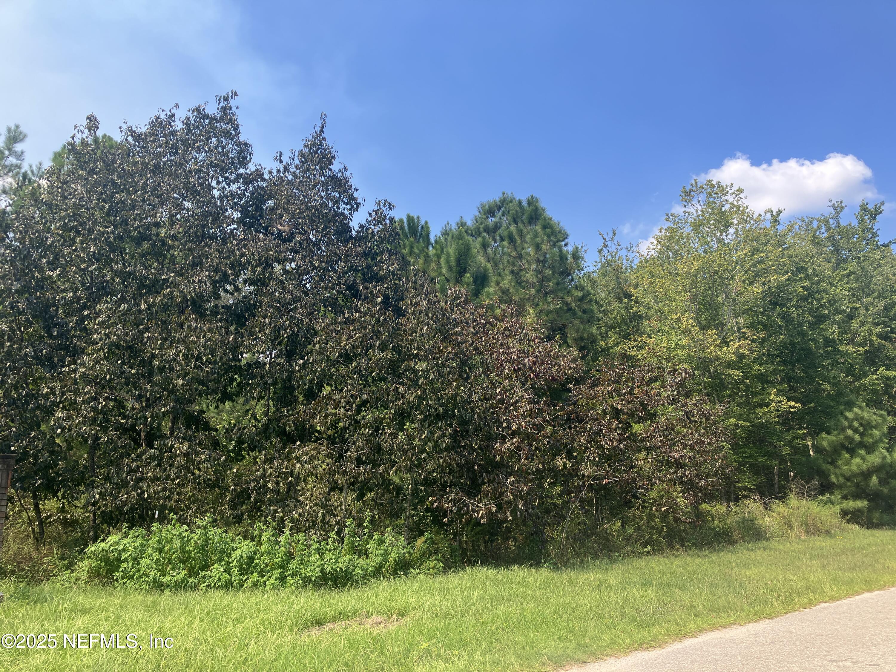 0 County Road 217 Jacksonville, FL 32234 - Photo 1 of 3 a view of a yard