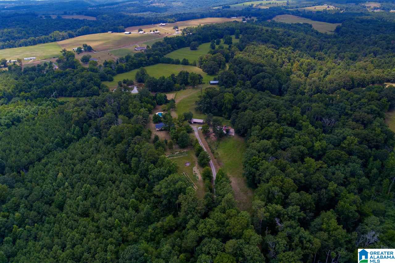 1181 Joy Road Hayden, AL 35079 - Photo 25 of 44