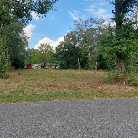 a view of a field with trees in background
