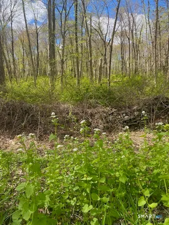$175,000 | 0 Clark Hill Road, East Haddam, CT 06423