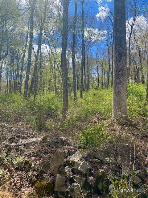 0 Clark Hill Road East Haddam, CT 06423 - Photo 2 of 3