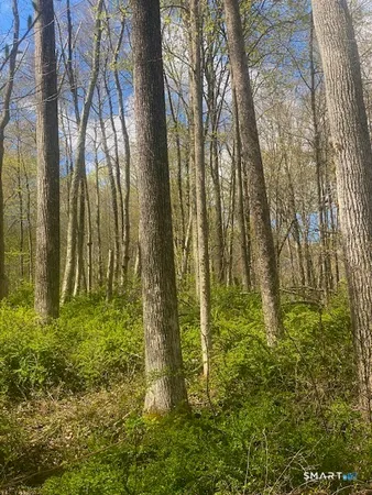$175,000 | 0 Clark Hill Road, East Haddam, CT 06423