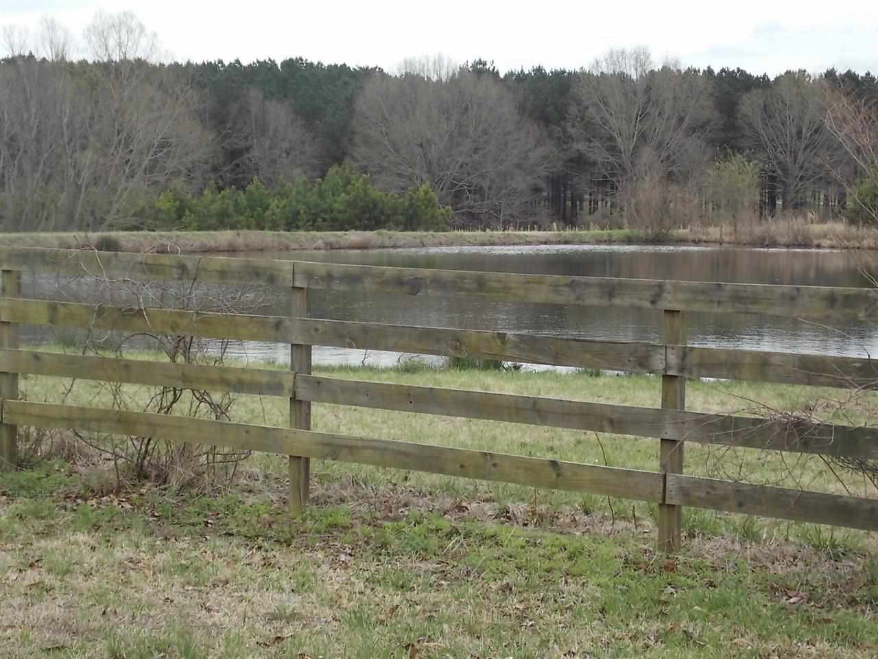 1480 Livingston Vernon Road Flora, MS 39071 - Photo 17 of 23 Photo 17
