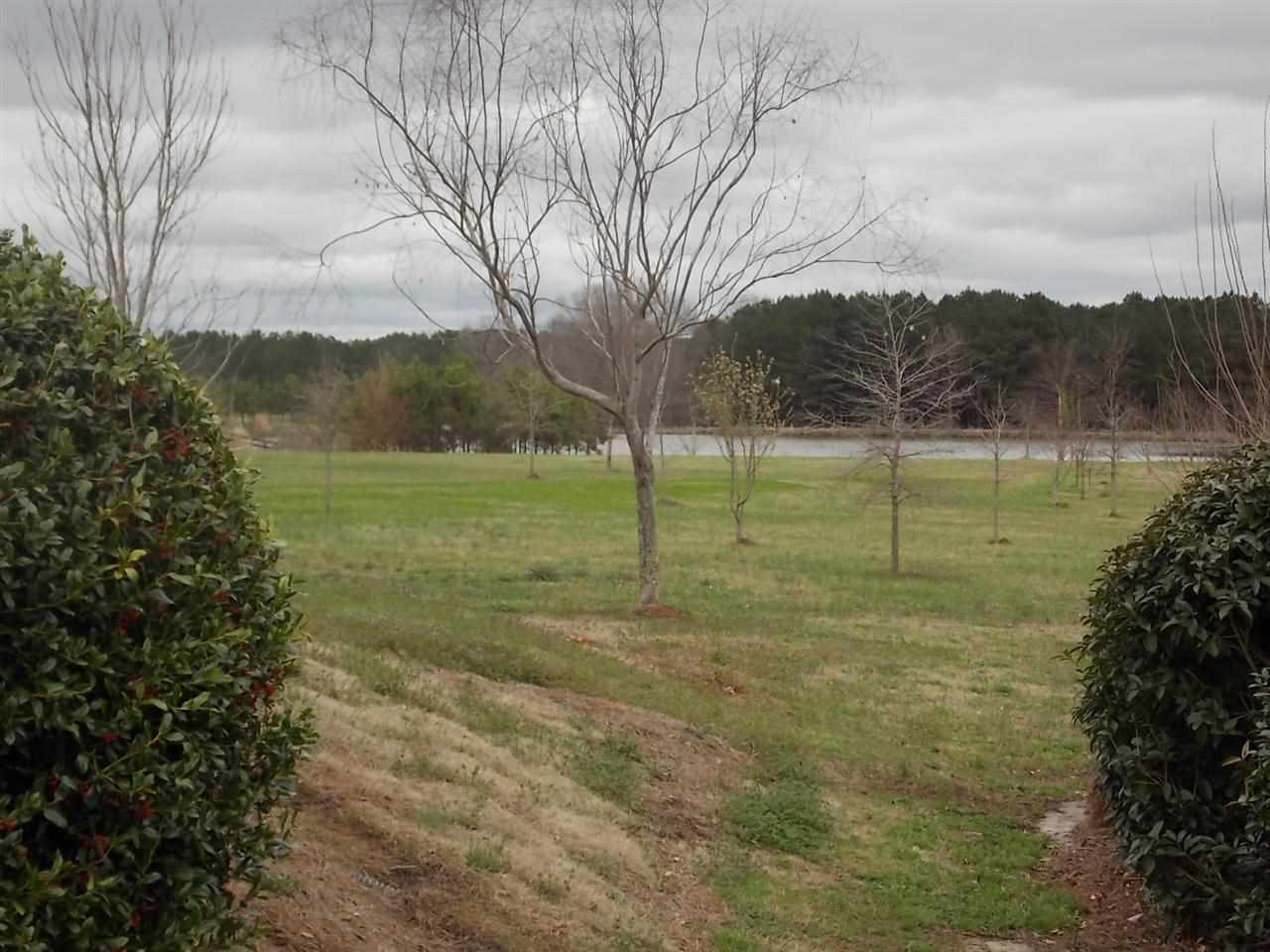 1480 Livingston Vernon Road Flora, MS 39071 - Photo 18 of 23 Photo 18